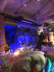 -恐龙探索乐园(磁器口店)