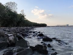 -上海吴淞炮台湾国家湿地公园