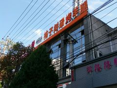 -柿子树炭烤羊腿(金台路店)