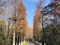 -狼山风景名胜区