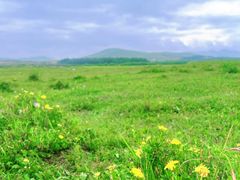 -塞罕坝国家级自然保护区