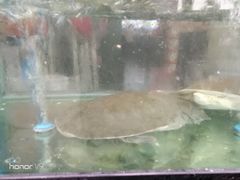 -万景饭店·鱼街农家菜