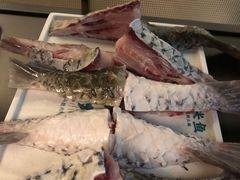-淘米捞·米汤脆鲩鱼火锅(福田皇岗店)