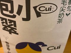 -包整·丝娃娃(一览甲秀楼风景店)