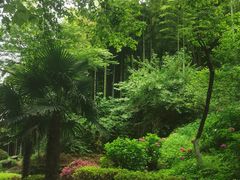 -莫干山风景区