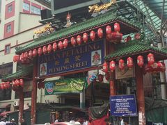 -罗汉果龙眼冰糖燉冬瓜