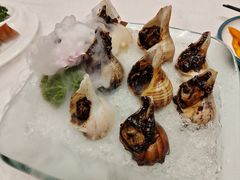 白蜜大红螺-富黎华海鲜大酒楼(正大广场店)