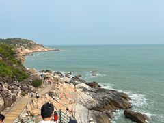 -广东惠东海龟国家级自然保护区