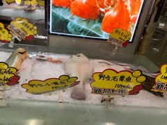 -渔娘渔家丹东海鲜(东直门店)