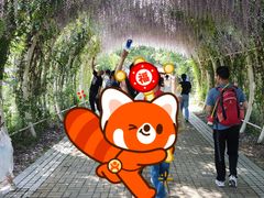 -同里国家湿地公园