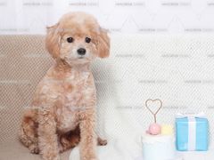 -东方饺子王(大屯路店)