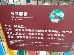 -呀诺达热带雨林