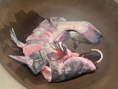 江团鱼-滇色蒸汽石锅鱼(京华城店)
