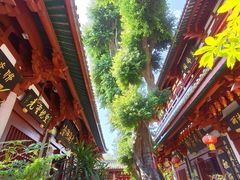 -叩齿古寺