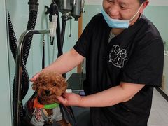 -中农大我爱我爱动物医院·核磁CT·猫病·24小时夜诊中心(石佛营店)