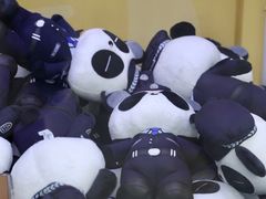 -凯德广场(金牛店)