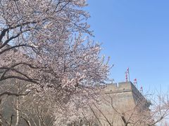 -西安浐灞国家湿地公园