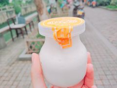 -狐狸家·酸奶酪专门店(平江路店)
