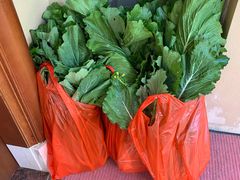 -广州锦绣香江度假别墅