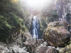 -龙湾潭国家森林公园
