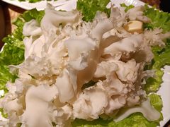-老福耶小草帽石锅鱼(奥体店)