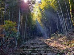 -仙霞关景区
