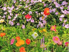 -人民公园(罗湖区)