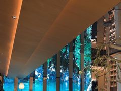 -桂满陇·海市蜃楼·黑金(国金店)