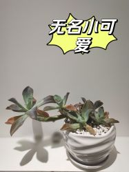 -AiCure 埃可儿·韩国医学皮肤管理