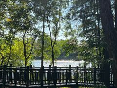 -东湖落雁景区