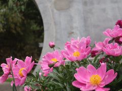 -丰台花园