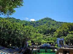 -东部华侨城