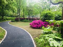 -新江湾城公园