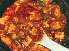-陈麻婆豆腐总店