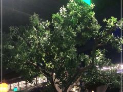 -绿茶餐厅(乐峰广场店)