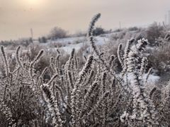 -丝绸之路山地度假区滑雪场