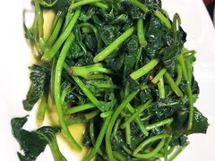 辣炒苕尖-董厨煨汤馆(车站路店)