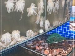 水产区-蟹谢蒸鲜自助餐厅