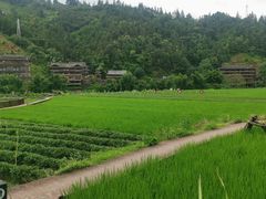 -程阳八寨景区