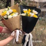 便不算离开，春草绿，清明来，清明节是踏青好时节