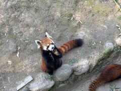 -西安秦岭野生动物园
