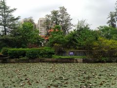 -四川大学(望江校区)