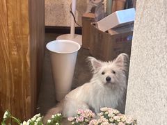 -绿房子方寸咖啡(星海名城店)