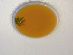 -Oyster Talks 四度蚝法餐厅