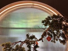 -香港狮子山下·明星粤菜餐厅(北苑店)