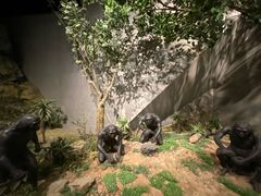 -北京周口店北京人遗址博物馆