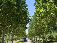 -北京西山国家森林公园