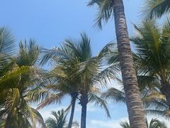 -三亚西岛海洋文化旅游区
