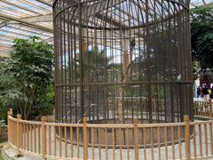 -南宫五洲植物乐园