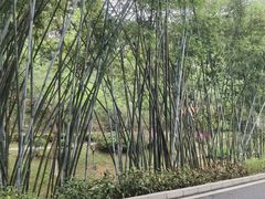 -火炉山森林公园